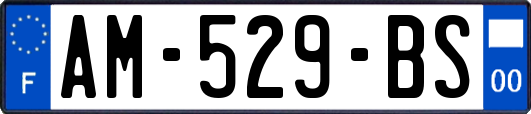 AM-529-BS