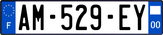 AM-529-EY