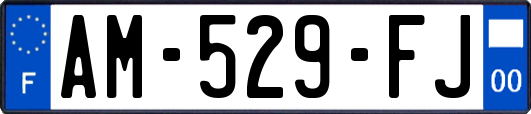 AM-529-FJ