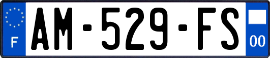 AM-529-FS
