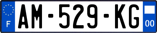 AM-529-KG