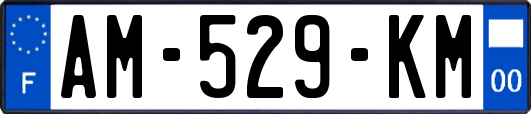 AM-529-KM
