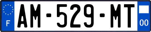AM-529-MT