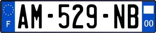 AM-529-NB