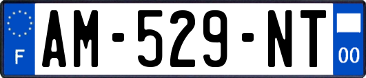 AM-529-NT