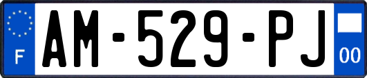 AM-529-PJ