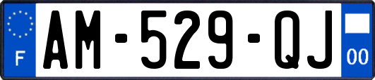 AM-529-QJ