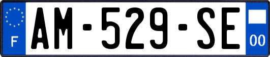 AM-529-SE