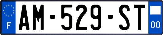 AM-529-ST