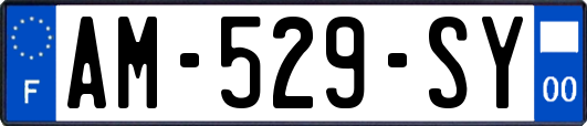 AM-529-SY