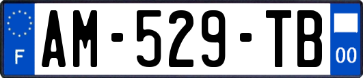 AM-529-TB