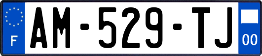 AM-529-TJ