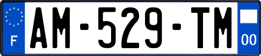AM-529-TM