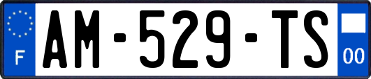 AM-529-TS