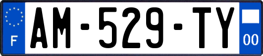 AM-529-TY