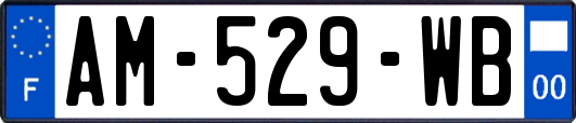 AM-529-WB