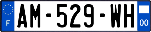 AM-529-WH