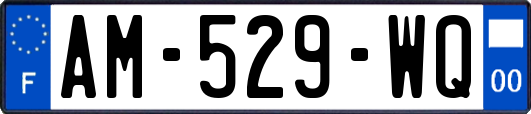 AM-529-WQ