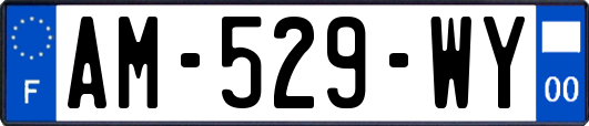 AM-529-WY
