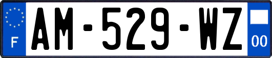 AM-529-WZ