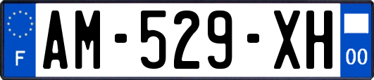 AM-529-XH