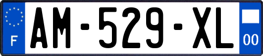 AM-529-XL