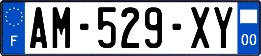 AM-529-XY