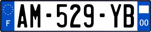 AM-529-YB