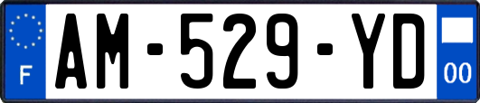 AM-529-YD