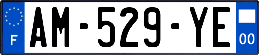 AM-529-YE