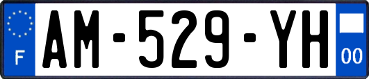AM-529-YH