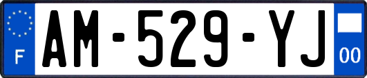 AM-529-YJ