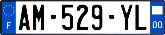 AM-529-YL
