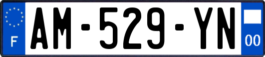 AM-529-YN