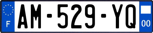AM-529-YQ