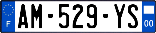 AM-529-YS