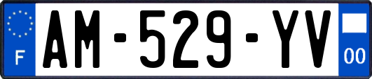 AM-529-YV
