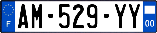 AM-529-YY