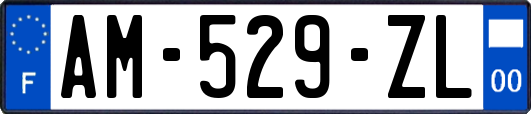AM-529-ZL