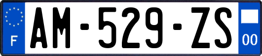 AM-529-ZS