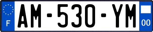 AM-530-YM