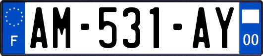 AM-531-AY