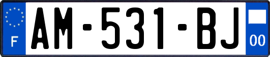 AM-531-BJ
