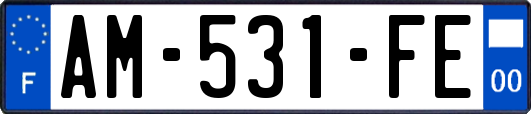 AM-531-FE
