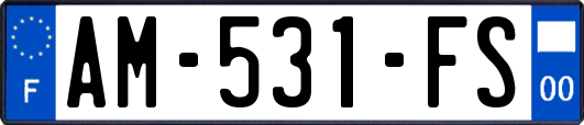 AM-531-FS