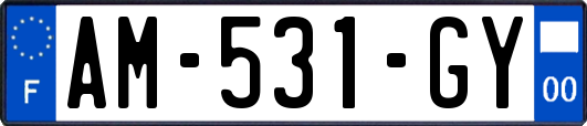 AM-531-GY