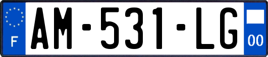 AM-531-LG