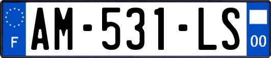AM-531-LS