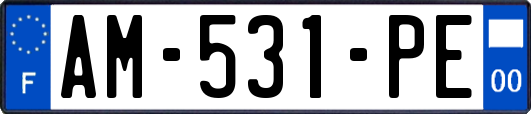 AM-531-PE