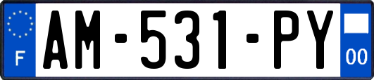 AM-531-PY